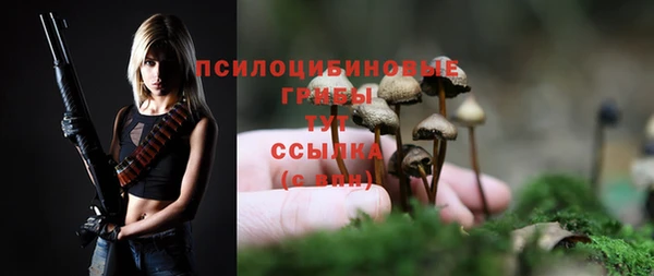 PSILOCYBIN Инсар