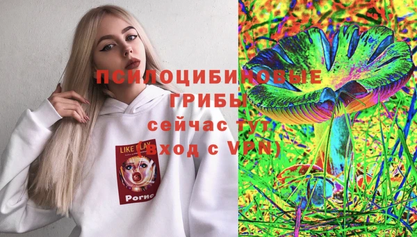 бутират Иннополис