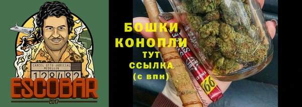 дживик Касимов